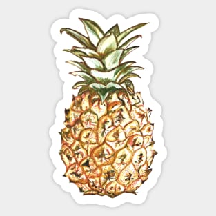 Pineapple Sticker